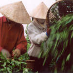 © Nguyen Duy Khanh / Street Vision / PhotoVoice